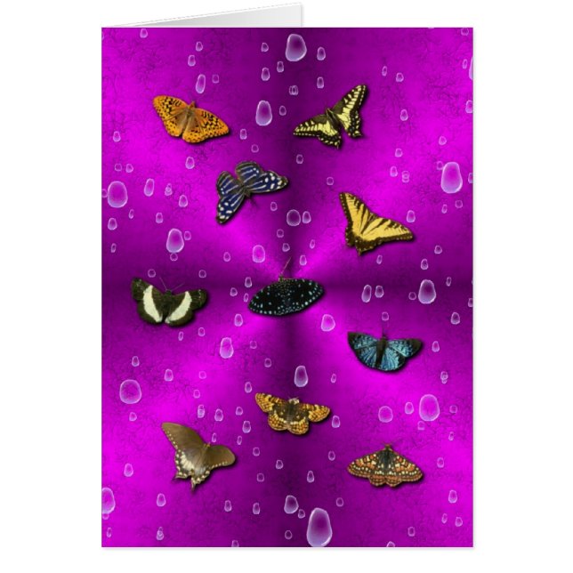 Regentropfen und Schmetterling auf rosa Regenbogen (Vorne)