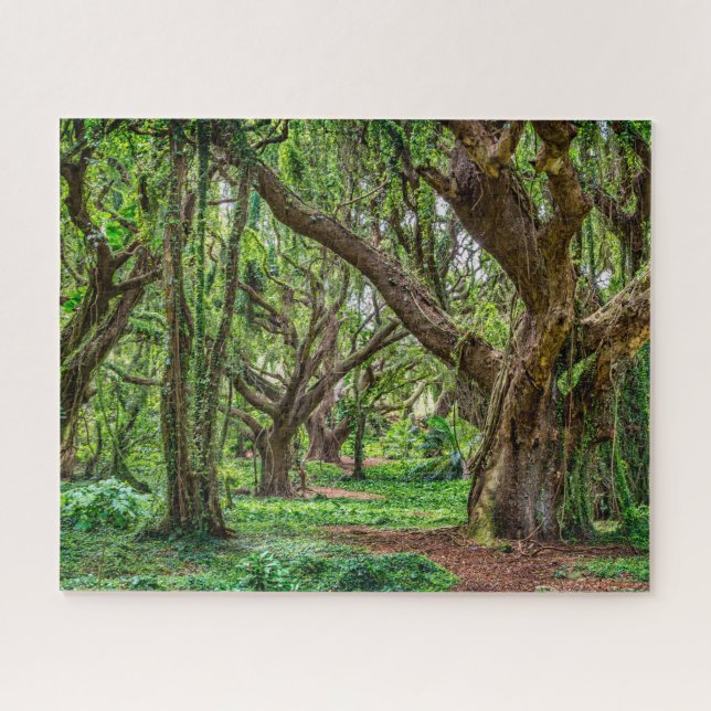 Regenwald Bäume Puzzle (Horizontal)