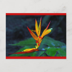 Regenwald-Blüte Feiertagspostkarte