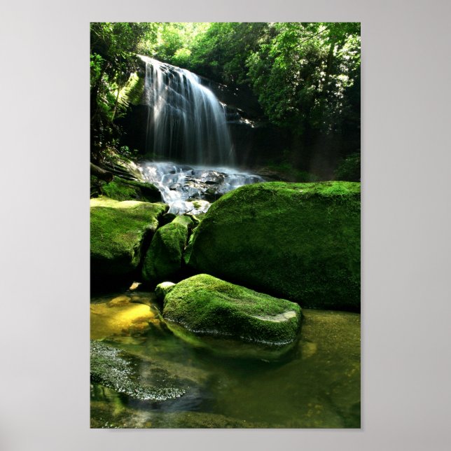Regenwald Gedeckter Wasserfall Poster (Vorne)