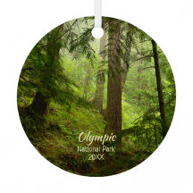 Regenwald im olympischen Nationalpark-Foto