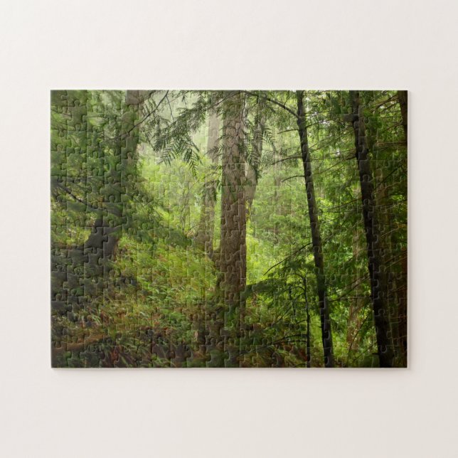 Regenwald im olympischen Nationalpark-Foto Puzzle (Horizontal)