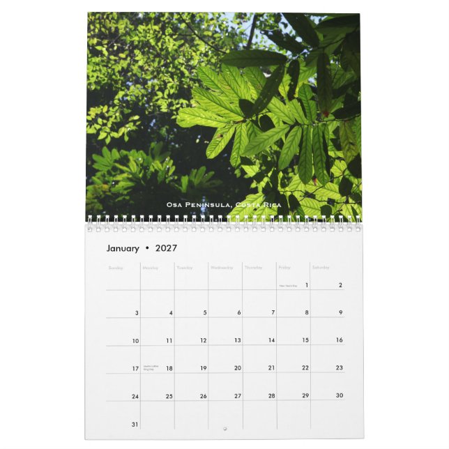Regenwald-Kalender Kalender (Jan 2027)