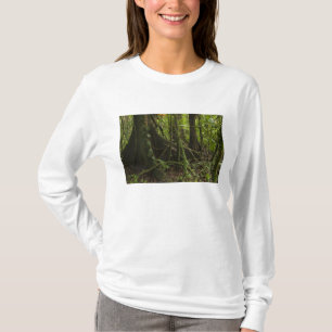 Regenwald, Mapari Fluss Nord Rupununi, T-Shirt