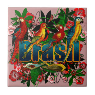 REGENWALD-Vogelkunst Brasiliens Brasilien Fliese