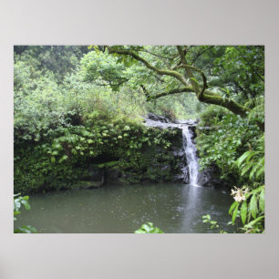Regenwald-Wasserfall Poster