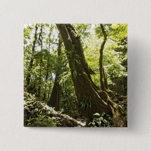 Regenwaldansicht, Dominica Button