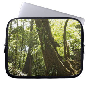 Regenwaldansicht, Dominica Laptopschutzhülle
