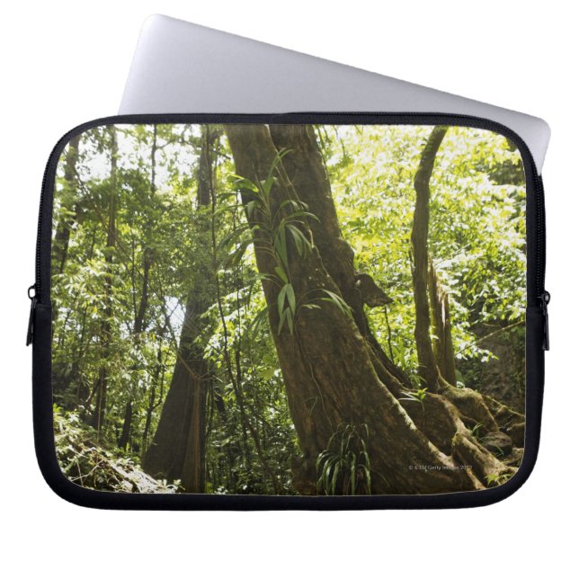 Regenwaldansicht, Dominica Laptopschutzhülle (Vorderseite)