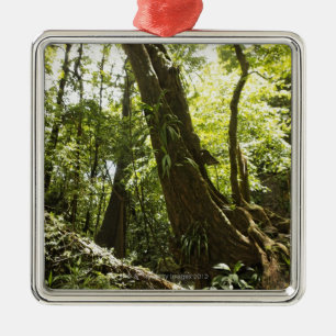 Regenwaldansicht, Dominica Silbernes Ornament