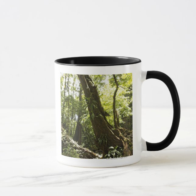 Regenwaldansicht, Dominica Tasse (Rechts)