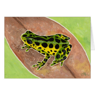Regenwaldfrosch