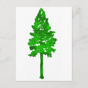 Regenwaldgrün Postkarte