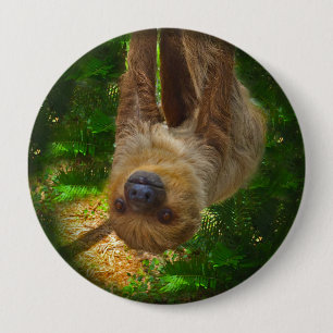 Regenwaldknopf Button