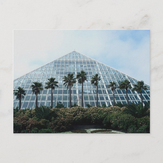 Regenwaldpyramide, Südtexas, USA Postkarte (Vorderseite)