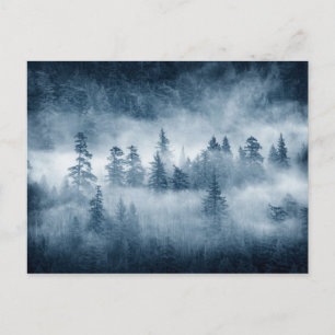 Regenwaldwolken im Pazifik im Nordwesten Postkarte