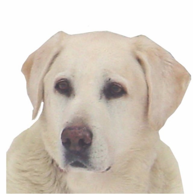 Reggie Freistehende Fotoskulptur (Vorne)