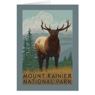 Regnerischerer Nationalpark, WashingtonElk Szene