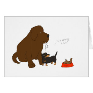 Regnet es herein hier?