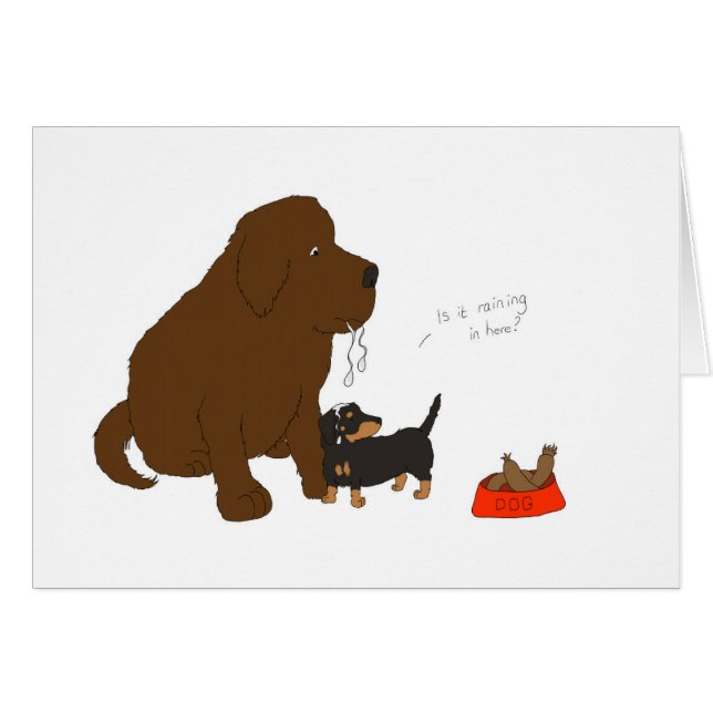 Regnet es herein hier? (Vorderseite (Horizontal))