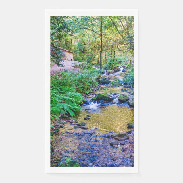 Rego da armenteira serviette (Vorderseite)