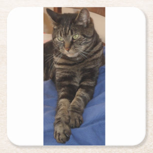 Reguläre Dave-benutzerdefinierte Coster Rechteckiger Pappuntersetzer