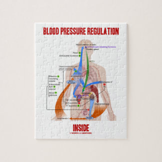Regulierung des Blutdrucks in der Physiologie Puzzle