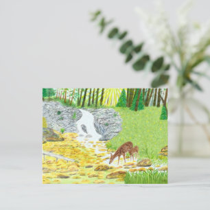 Reh und Hirschkalb Postkarte