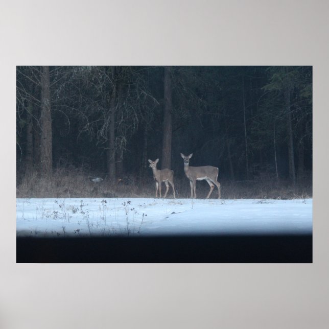 Reh- und Tierplakat Poster (Vorne)