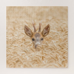 Rehbock in goldenem Weizen-Wildleben Puzzle