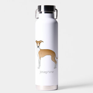 Rehbrauner und weißer Italienischer Windhund mit i Trinkflasche