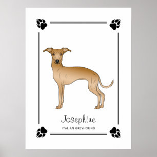 Rehfarbener Italienischer Windhund mit Pfoten und Poster