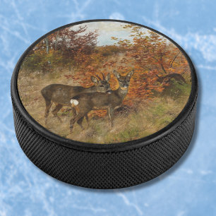 Rehwild mit Herbstlaub Alte Wildtierfotografie Eishockey Puck