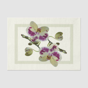 Reiche blassgelbe Orchideen Papiertücher Seidenpapier