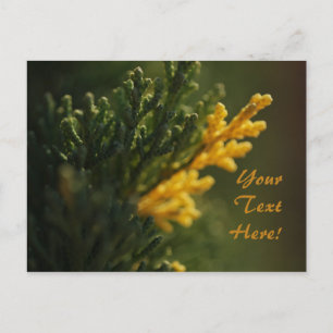 Reiches Grün Warm Gelbe Pflanzen-Foto-Postkarte Postkarte