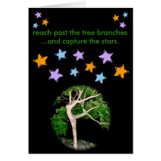 Reichweite hinter den Baumasten…