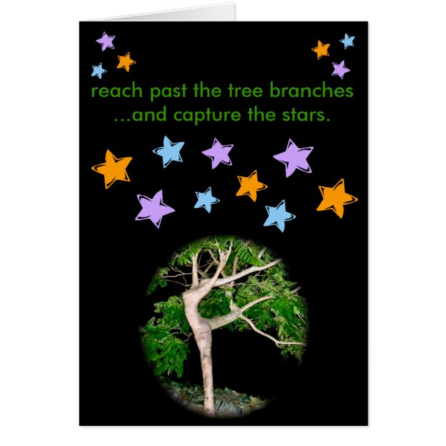 Reichweite hinter den Baumasten… (Vorne)