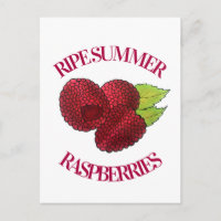 Reif Fresh Summer Red Himbeeren Früchte Berry