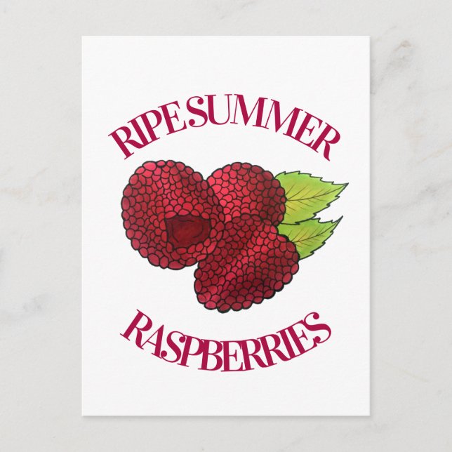 Reif Fresh Summer Red Himbeeren Früchte Berry Postkarte (Vorderseite)