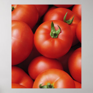 Reif Tomaten - Hellrot, frisch Poster