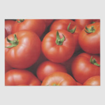 Reif Tomaten - Hellrot, frisch