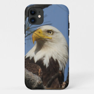 Reife Bald Adler Naher Kopf Case-Mate iPhone Hülle