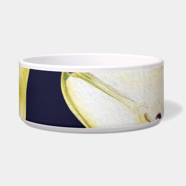 Reife Birne, schwarzer Hintergrund, Gartenkunst Napf (Vorderseite)