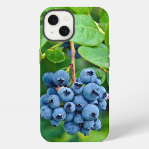 Reife Blaubeeren am Busch iPhone 13 Hülle