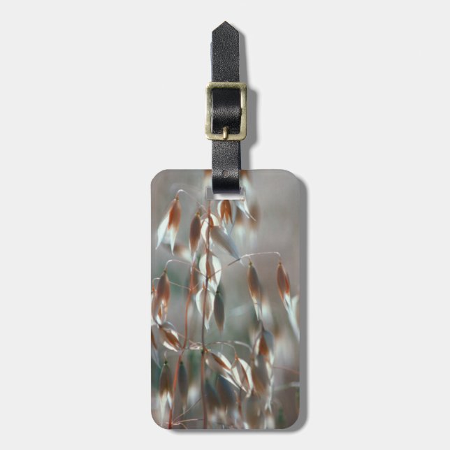 Reife Hafer (Avena Sativa) Nah auf. Ceres, Boland Gepäckanhänger (Vorderseite vertikal)