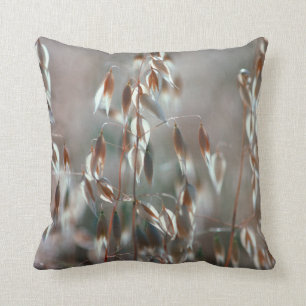 Reife Hafer (Avena Sativa) Nah auf. Ceres, Boland Kissen