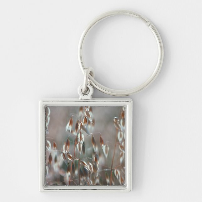 Reife Hafer (Avena Sativa) Nah auf. Ceres, Boland Schlüsselanhänger (Vorne)