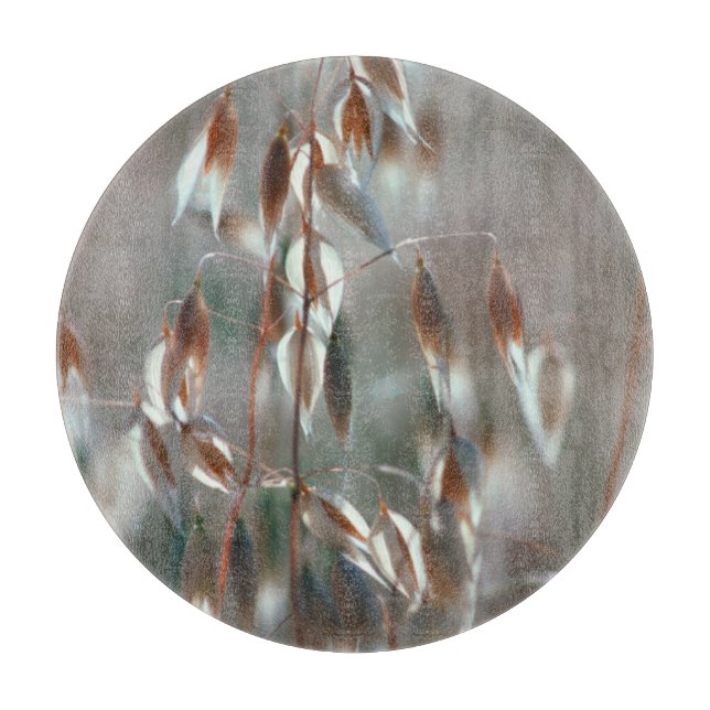 Reife Hafer (Avena Sativa) Nah auf. Ceres, Boland Schneidebrett (Vorderseite)