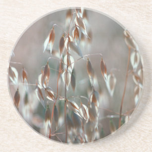 Reife Hafer (Avena Sativa) Nah auf. Ceres, Boland Untersetzer