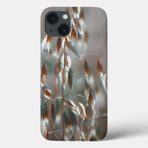 Reife Haferkörner (Avena Sativa) Nahaufnahme. Cere Case-Mate iPhone Hülle